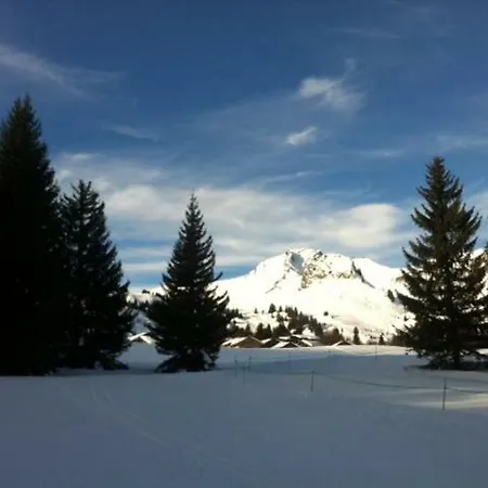 Appartement Terrasses Du Mont Blanc Praz de Lys - Sommand